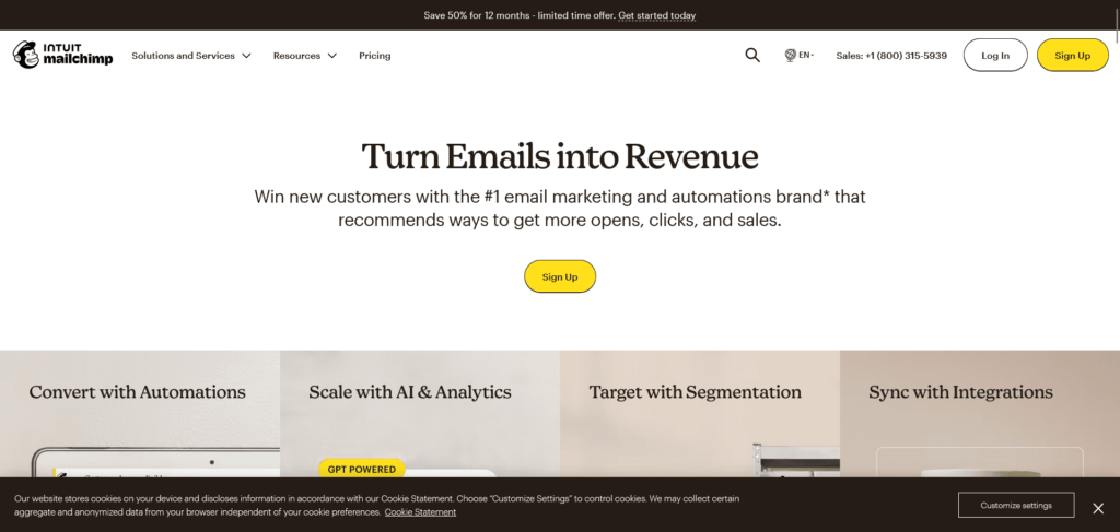 Mailchimp websites image
